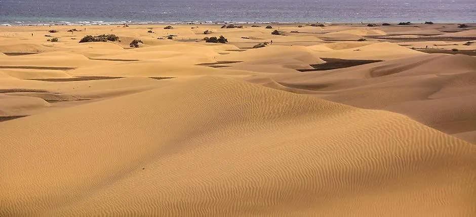 Relax Bungalow With Parking Villa Maspalomas  Holiday home Maspalomas (Gran Canaria)